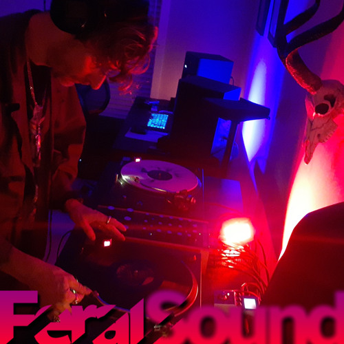 Feral Sound with 88 Katanas and Fox - 07 Jun 2024
