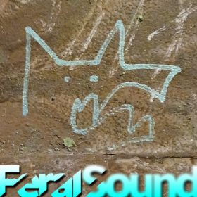 Feral Sound with Fox – 10 Jan 2025