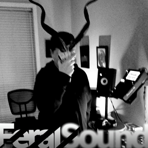 Feral Sound with Fox - 25 Jan 2025