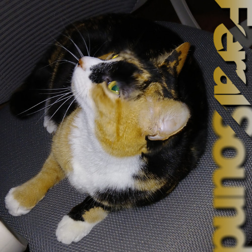 Feral Sound with Fox b2b CHRSBRRY - 21 Mar 2025