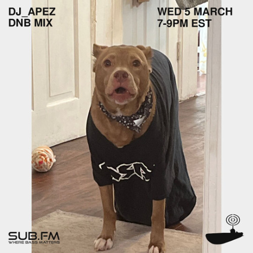 dj_apez - 05 Mar 2025