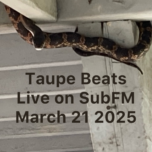 Taupe Beats - 21 Mar 2025